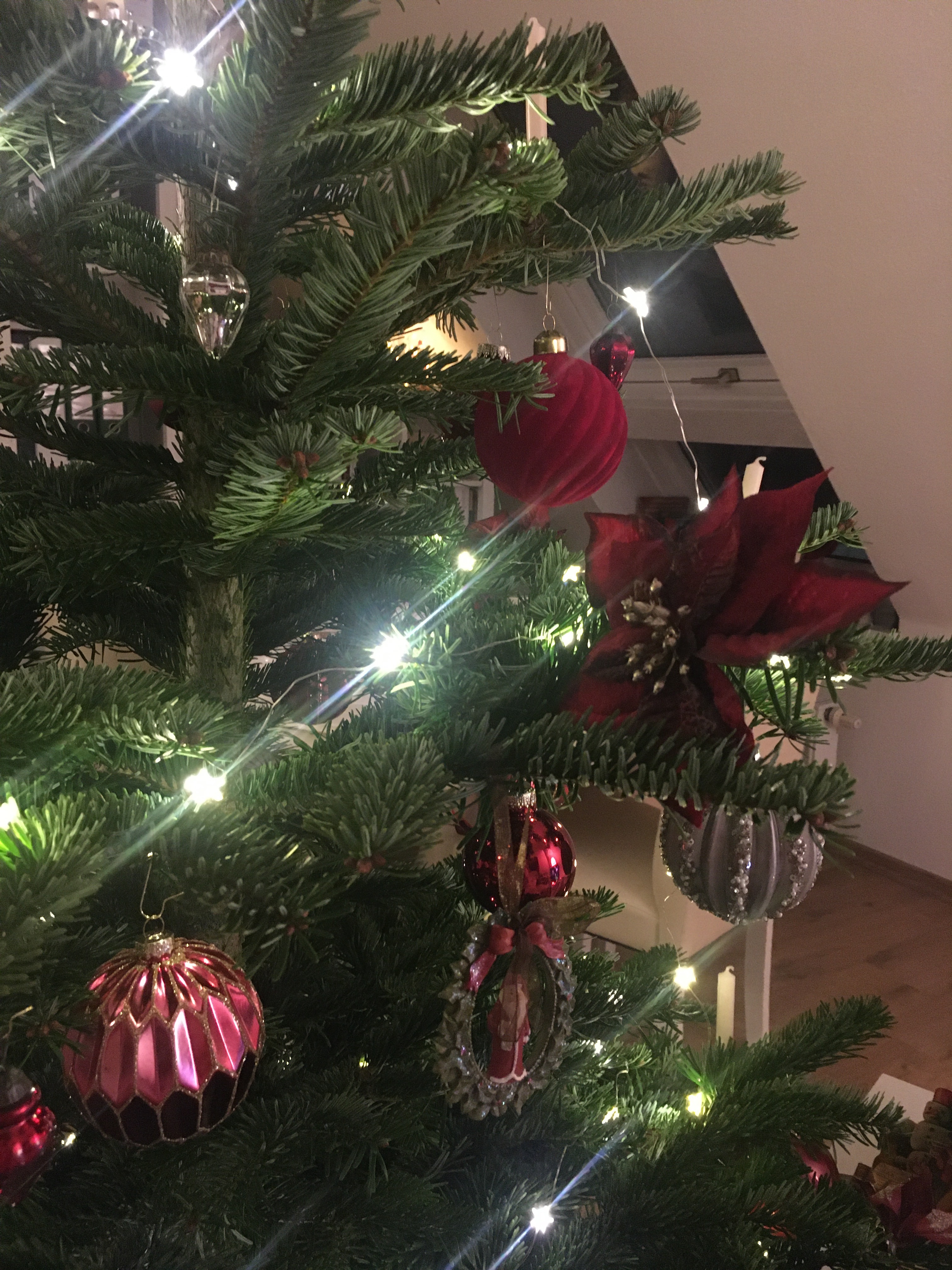 Baum