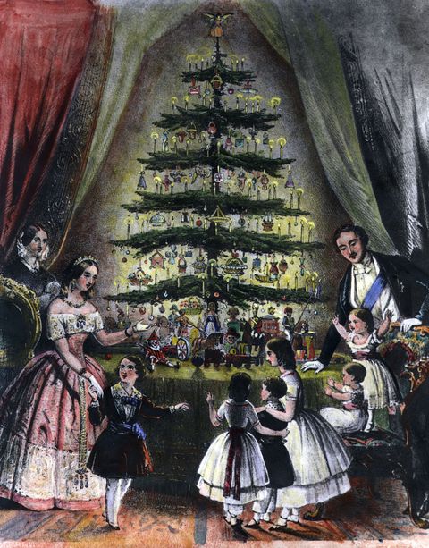 Baum