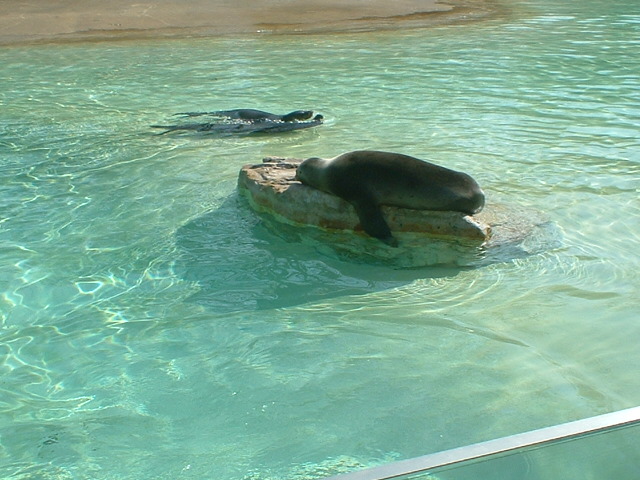Zoo