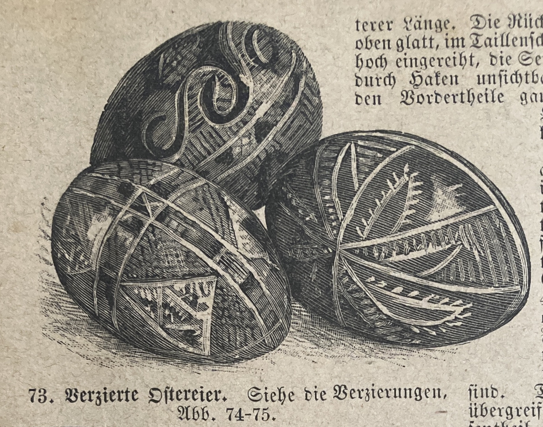 Eggs